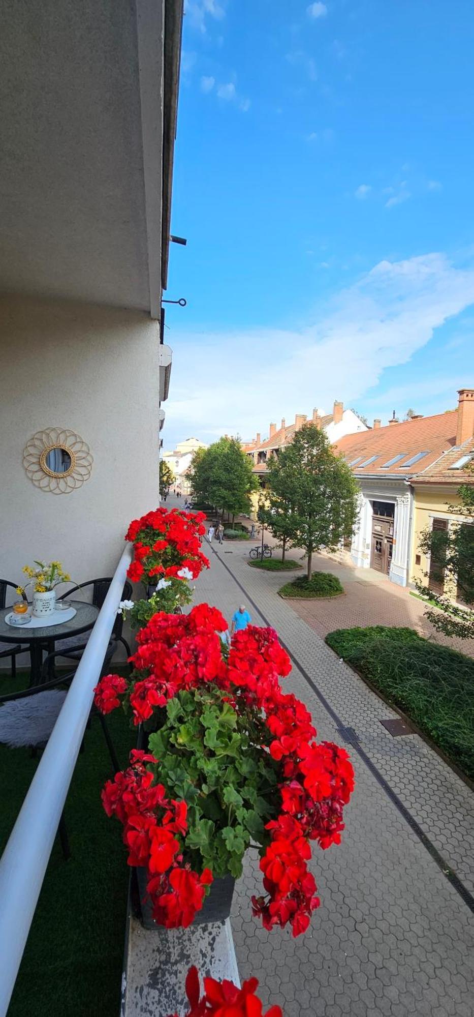 Anna Gyoengye Apartman Debrecen Ngoại thất bức ảnh